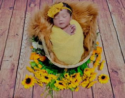 Sri Nurtsani profile icon