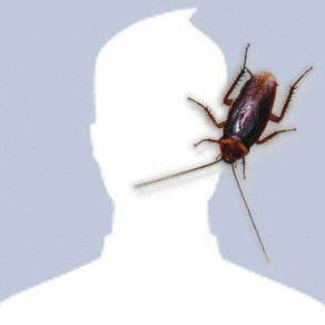 Anonim aja profile icon