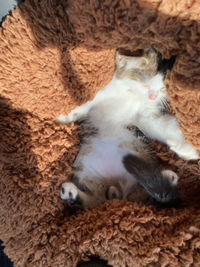 Mi nuar profile icon