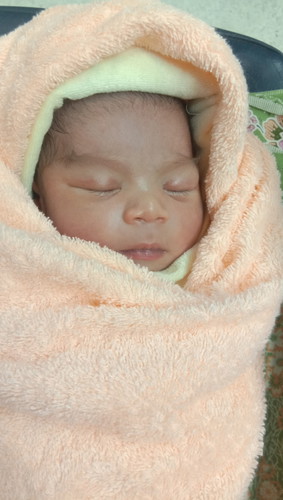 คลอดแล้วจร้