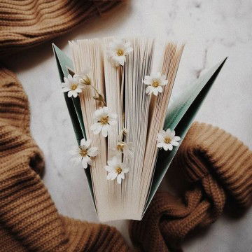 Fitri Handayani profile icon