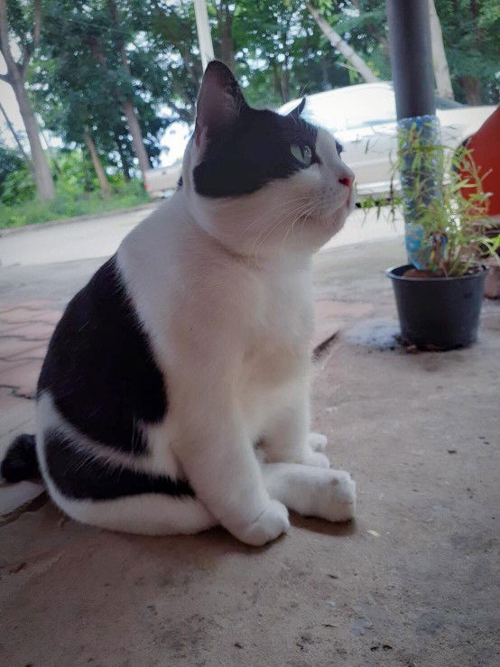 Heni Silvia Rahayu profile icon