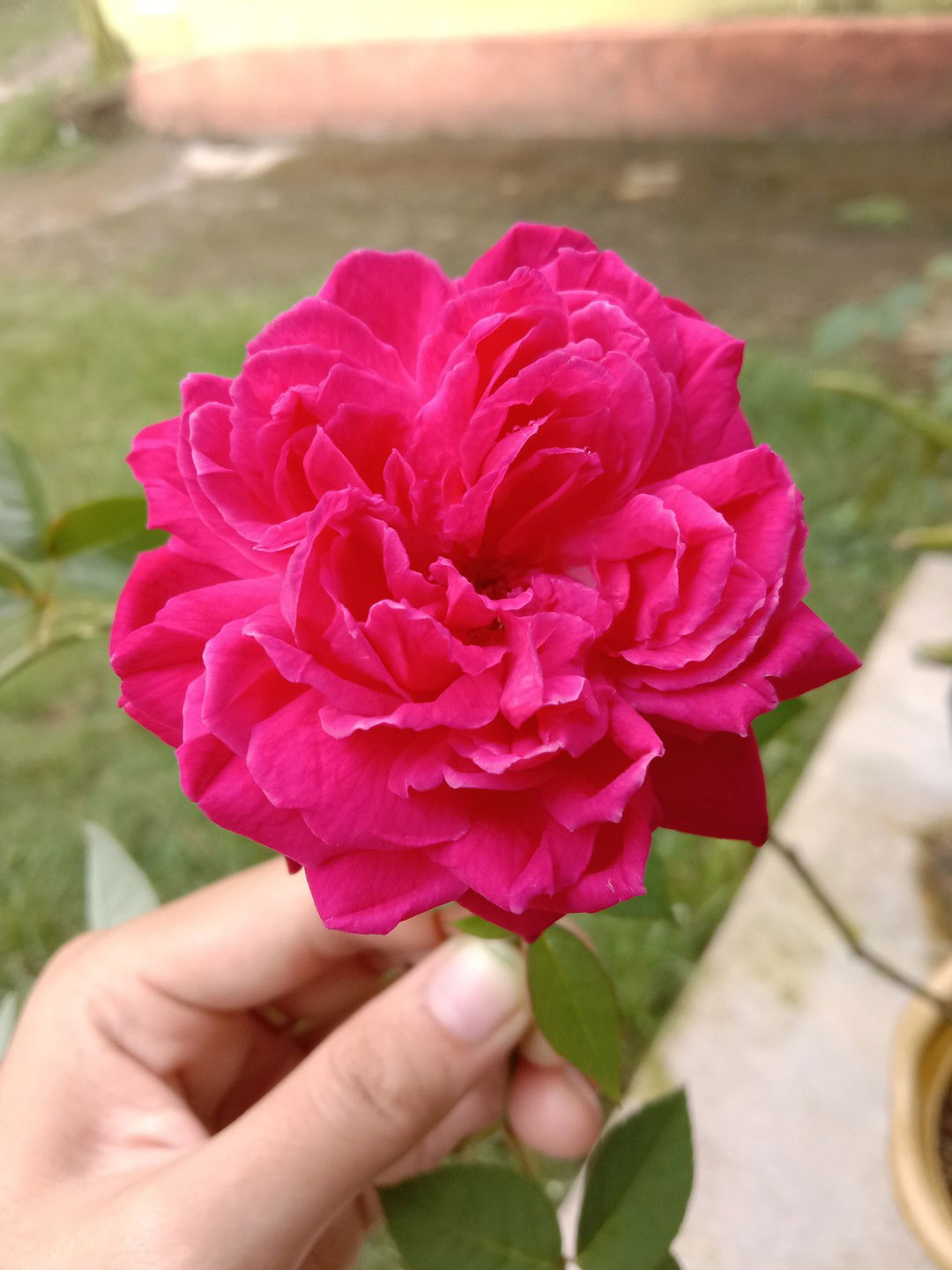 Ulfa Hafiziyah profile icon