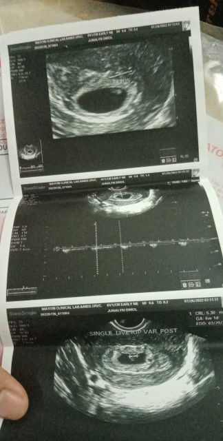 Jonalyn C. Dimol profile icon