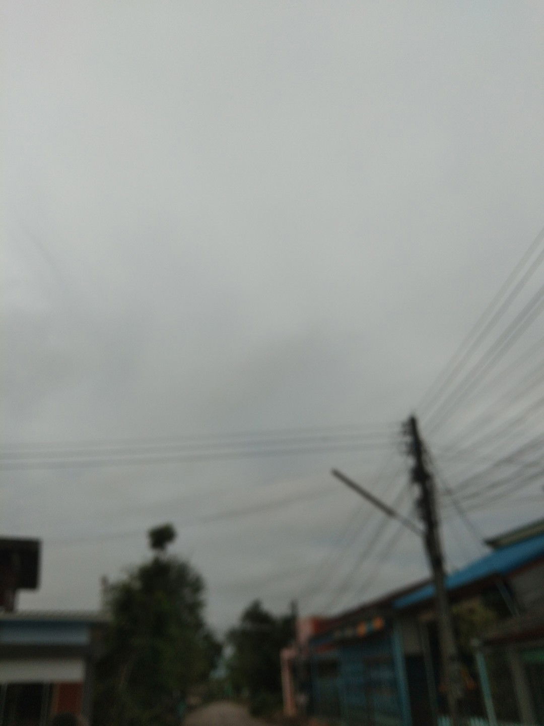 เอมี่ profile icon