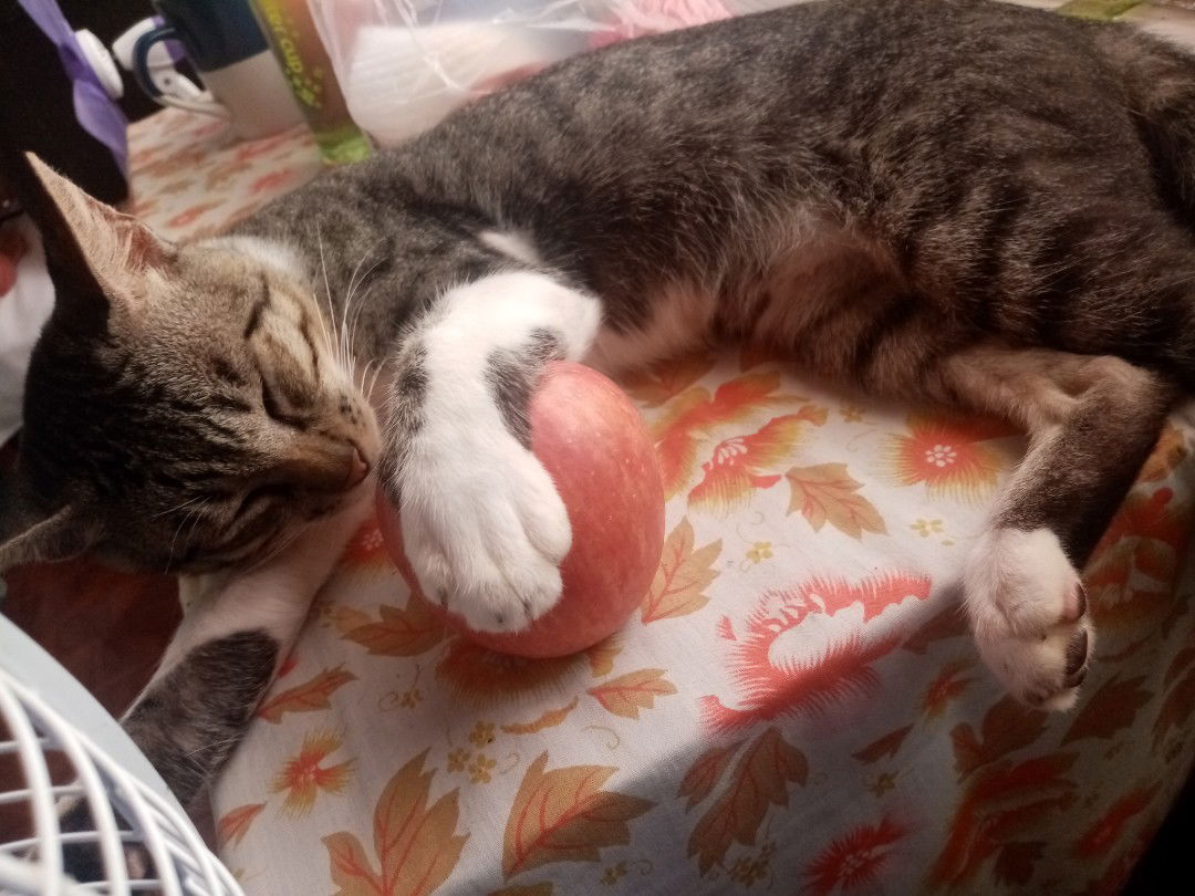 JunalieG profile icon