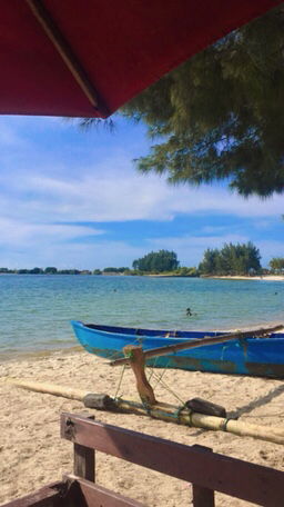 Sylvia Arni profile icon