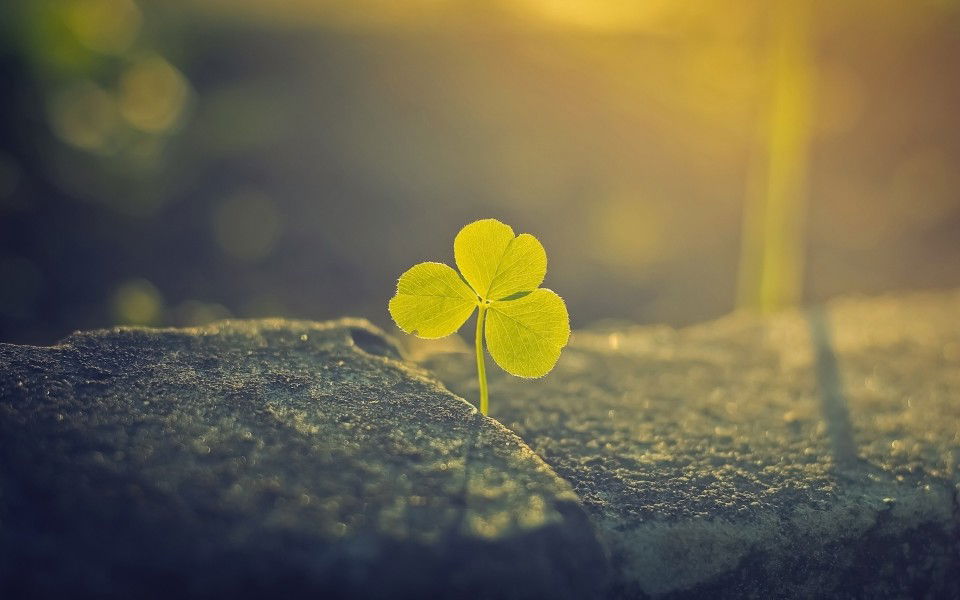 Mdivia  profile icon