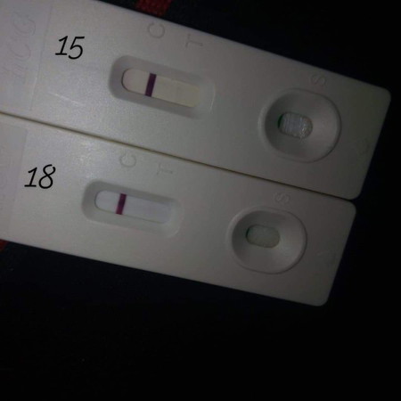 3rd try