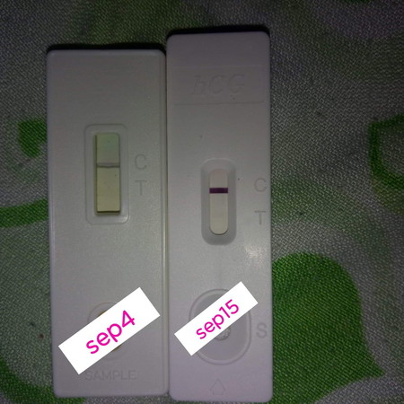 same case