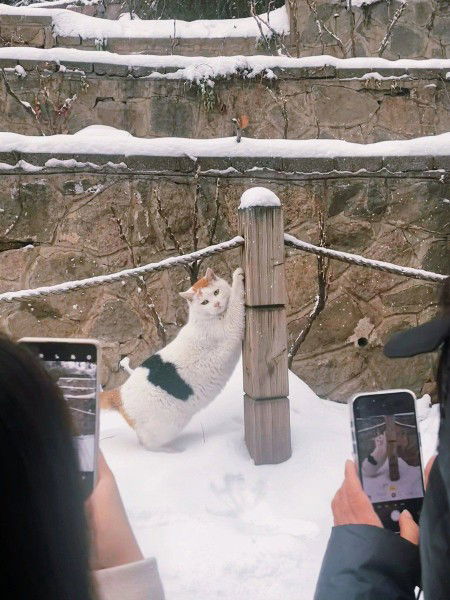 Dian Puspita Sari profile icon