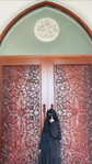 irinhisyam profile icon