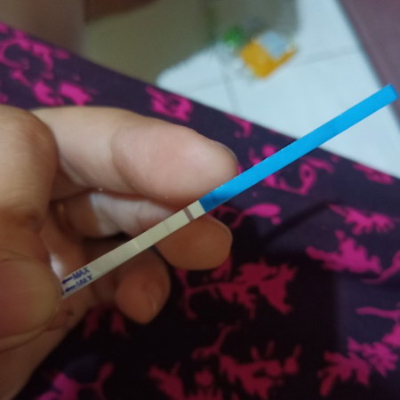 kehamilan