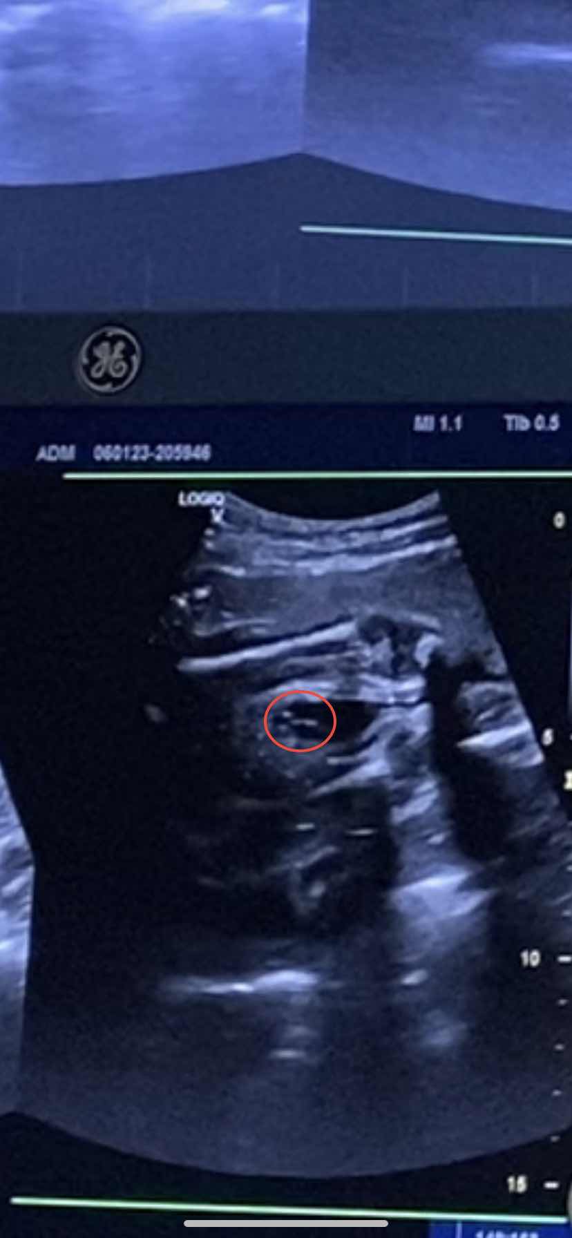 ช่วยดูหน่อยค่ะว่าเพศหญิงหรือชาย