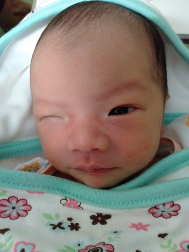 น้องมาเฟีย