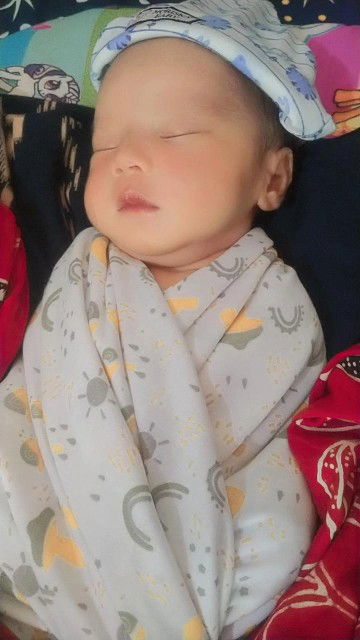 Imelda Sahla profile icon