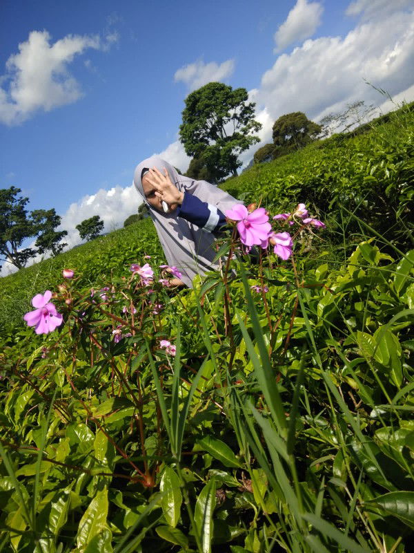 Sri Mulyati profile icon