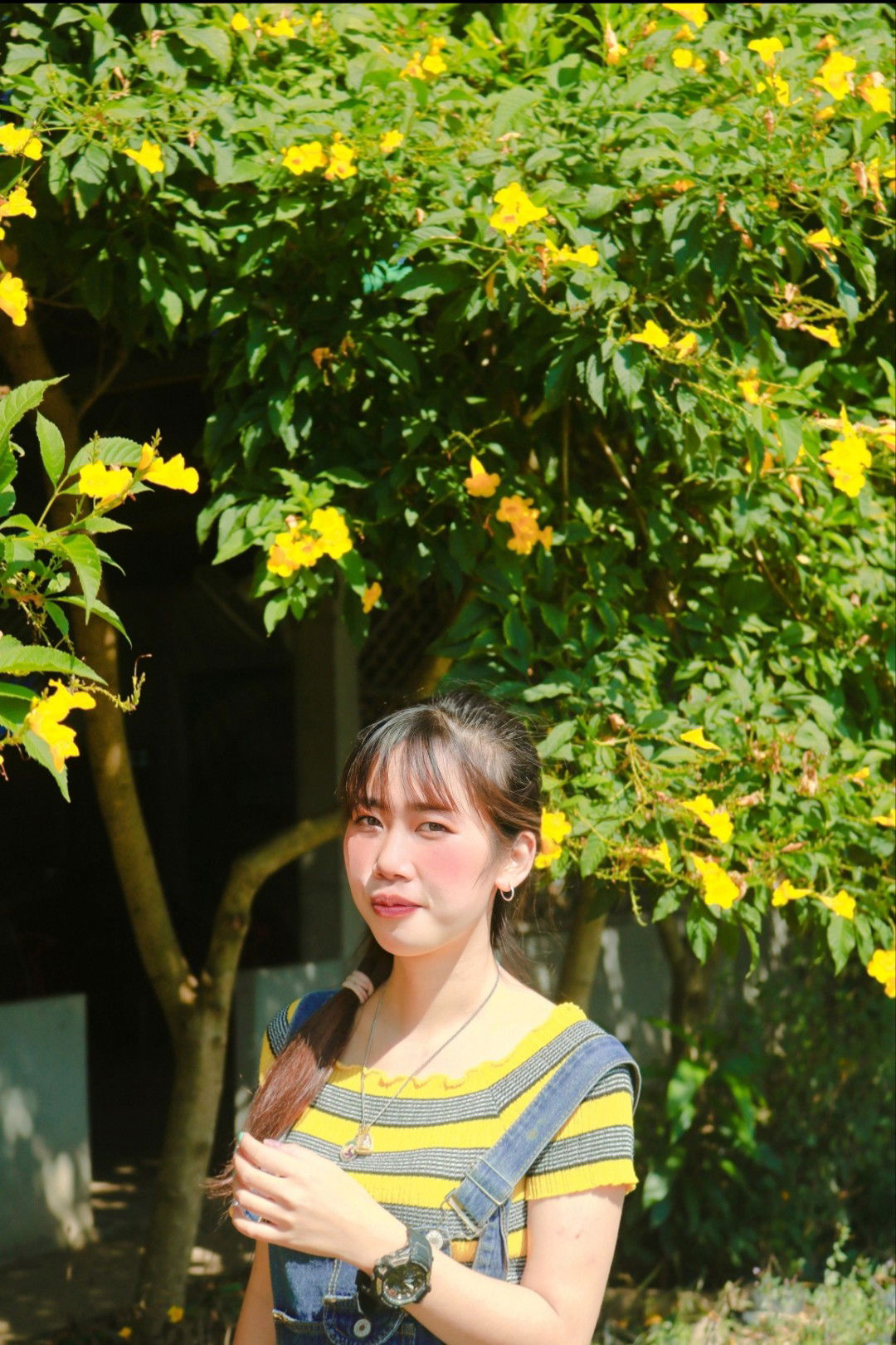 เอแคลร์ profile icon