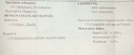 papsmear result