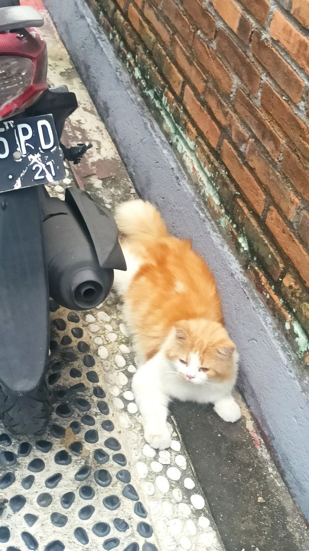 Fitri S profile icon