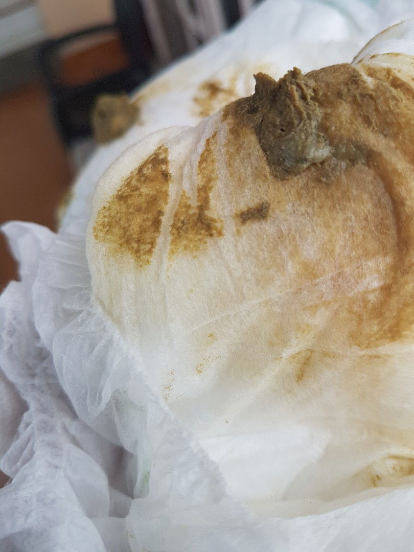 bab hijau gelap bmt soya