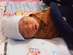 inara rizqiana alesha profile icon