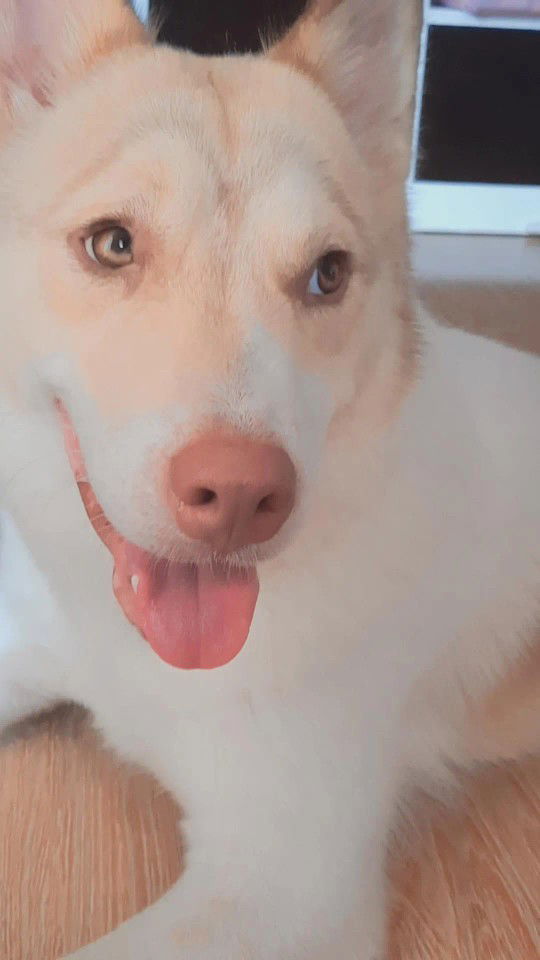 anonymous profile icon