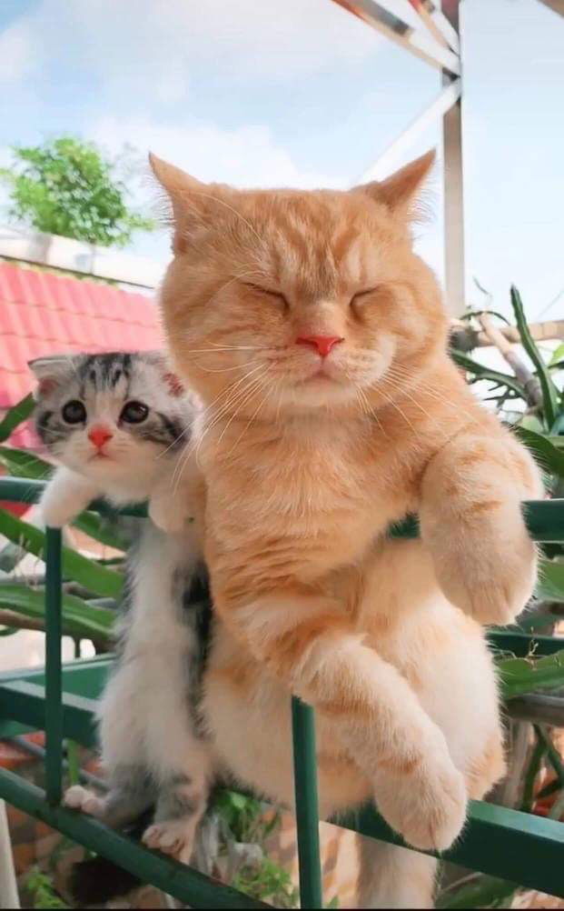 nurul lupita profile icon