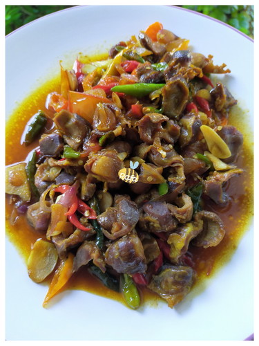 Edisi ampela