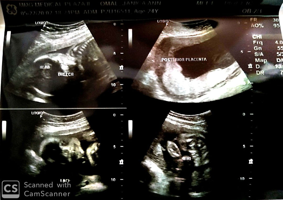 Annika C. profile icon