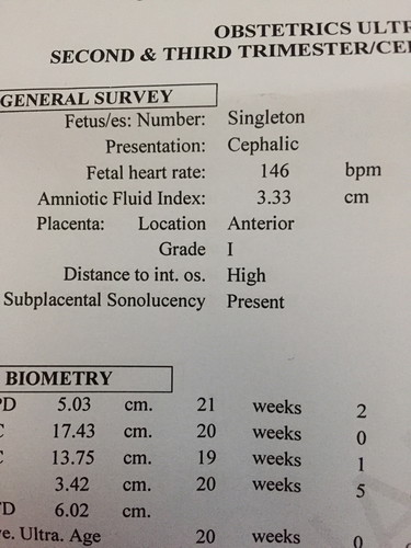 Amniotic fluid