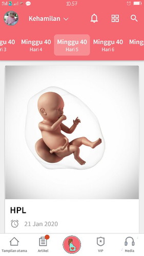 40w5d
