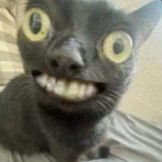 สาว profile icon