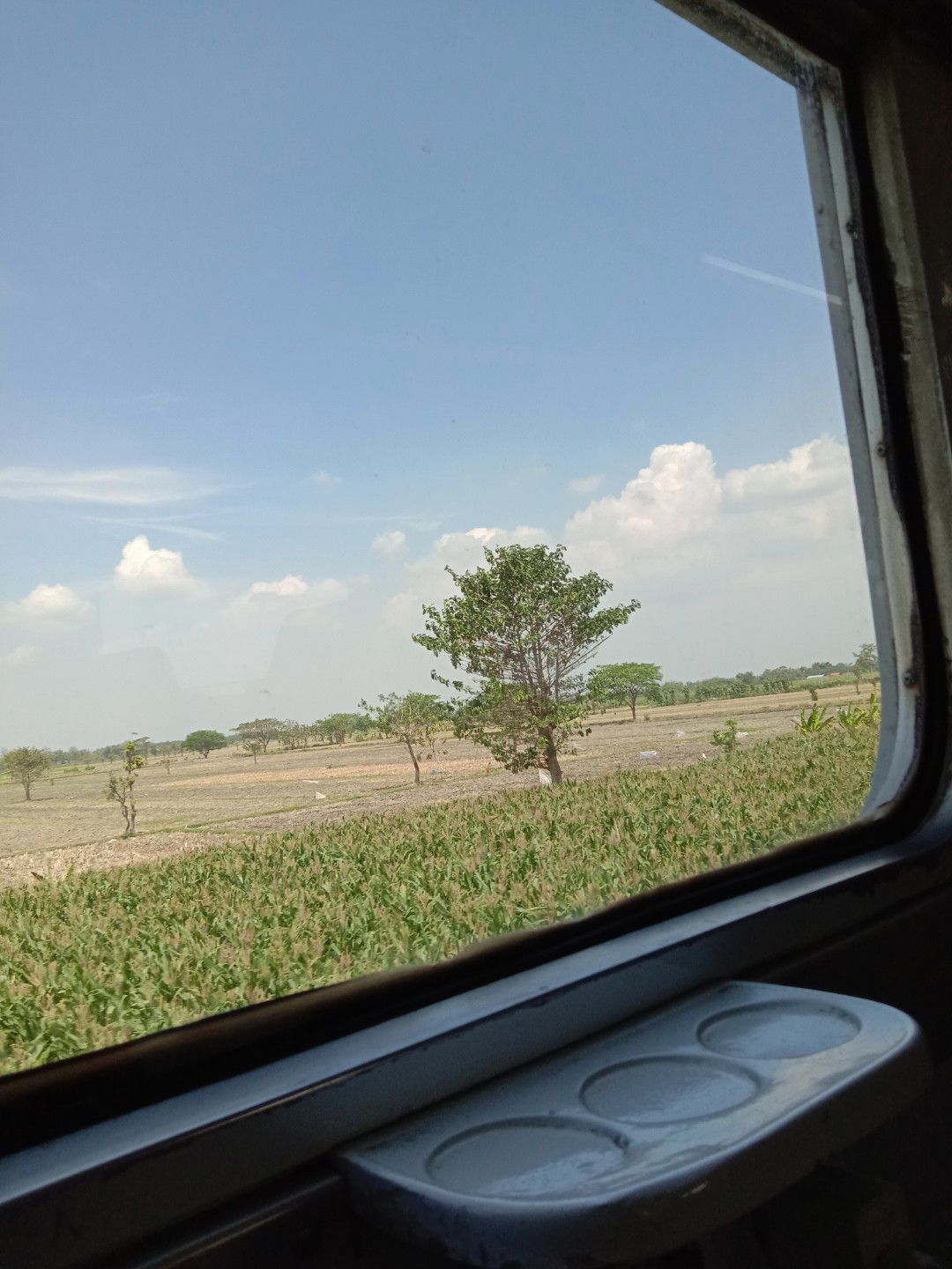 Marianita profile icon