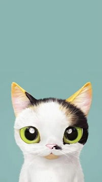 Salma Salimi profile icon