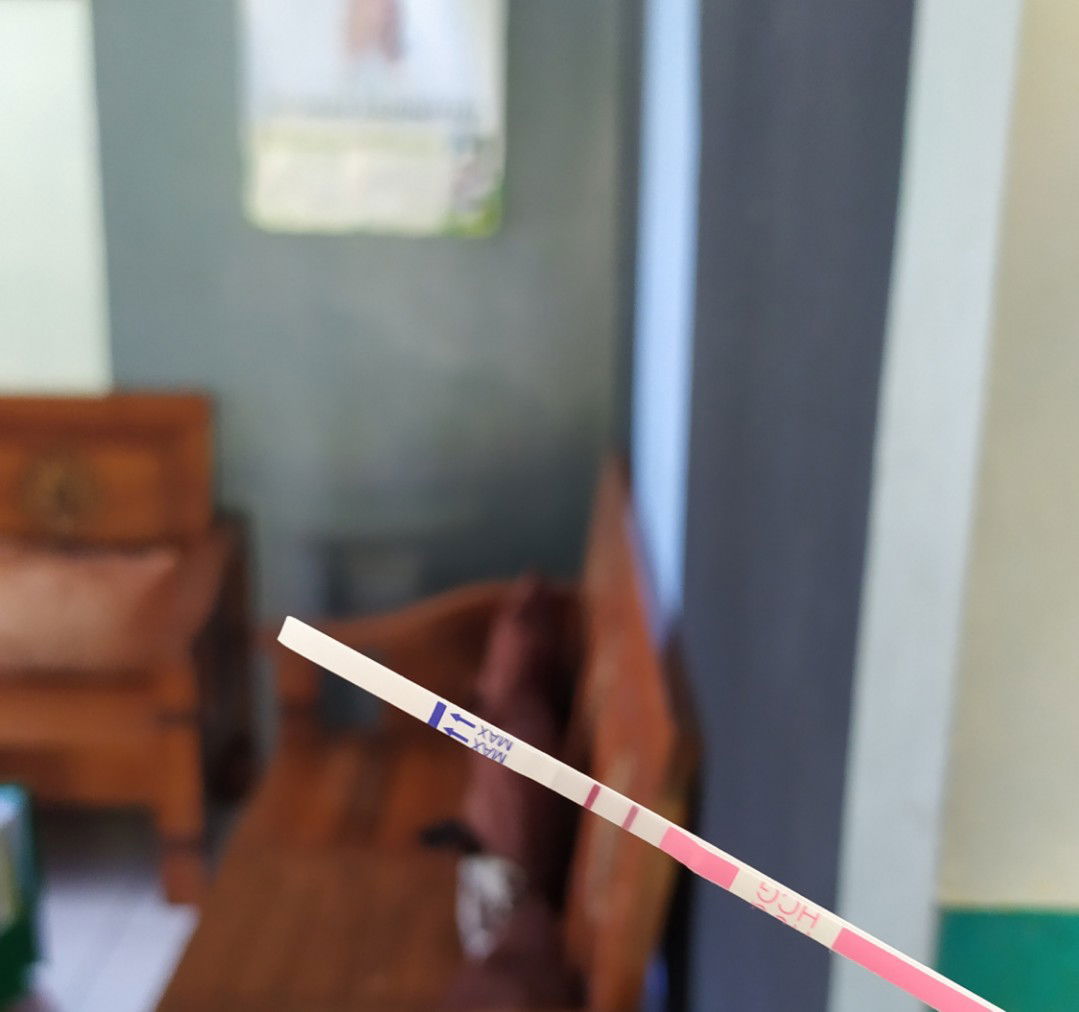 Dianitaa profile icon