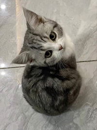 plt2456 profile icon