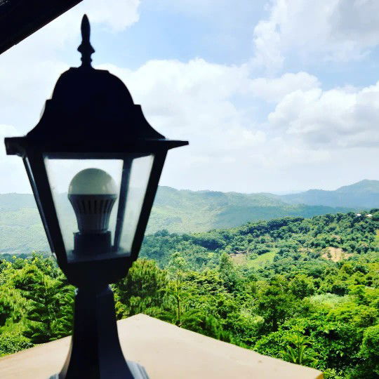 Erin DF profile icon