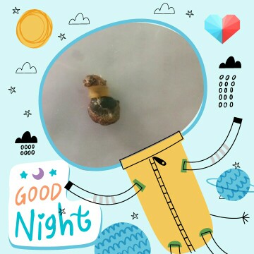 ดือน้อยของแม่