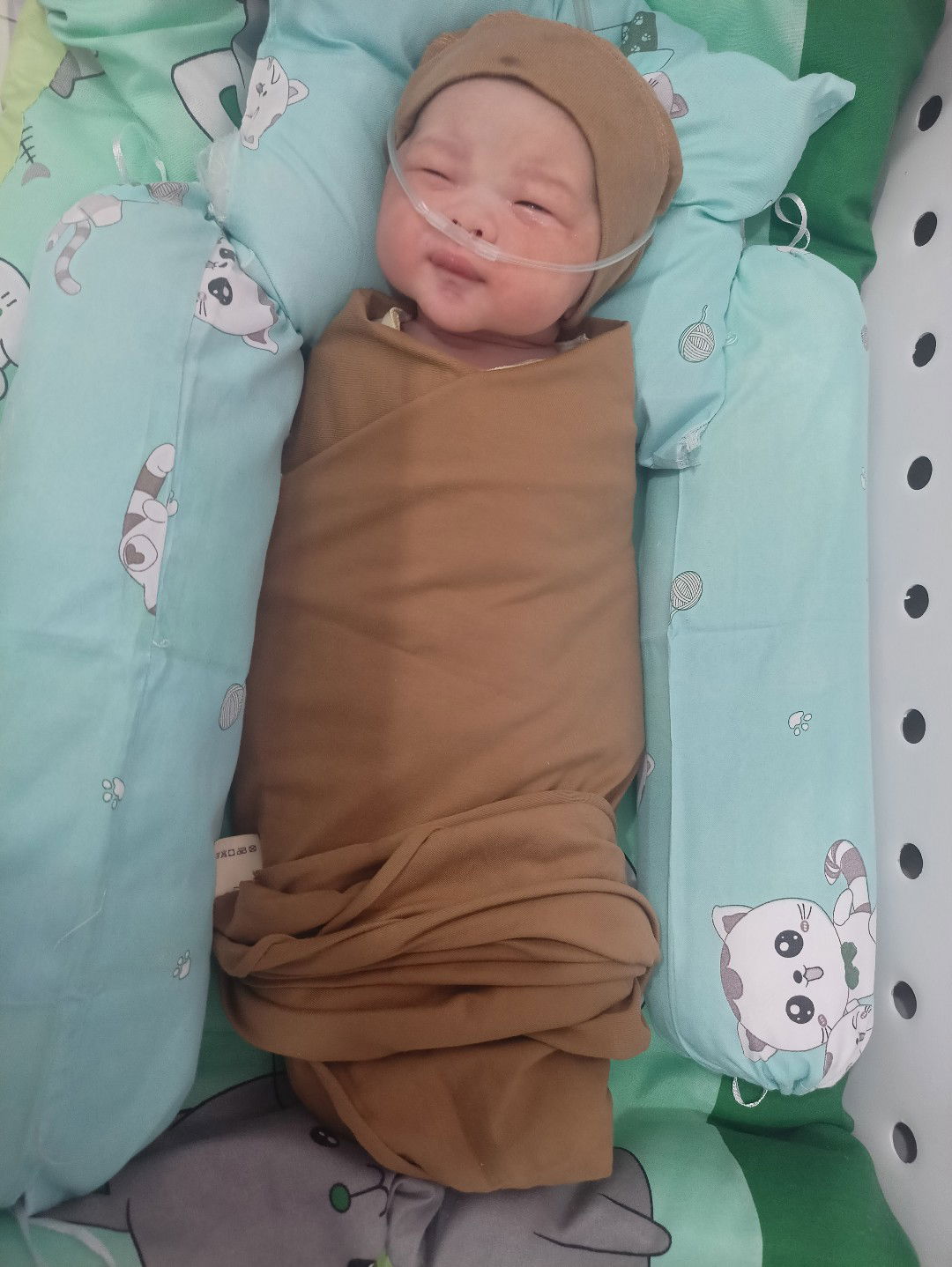 dina Lestari05 profile icon