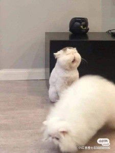 Natthida profile icon