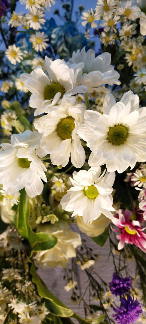 Nirma Fiani profile icon