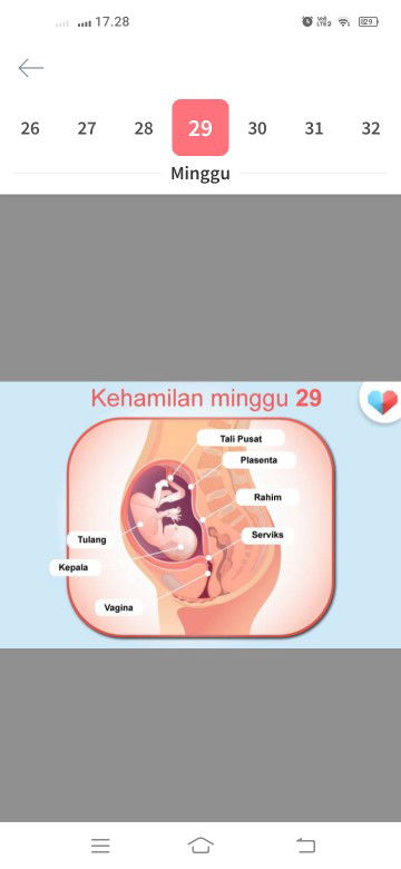 Anday Yani profile icon