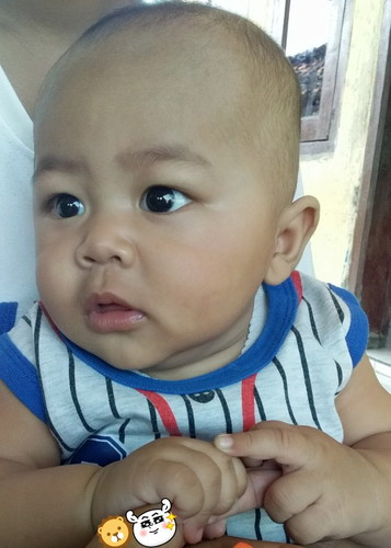 rambut