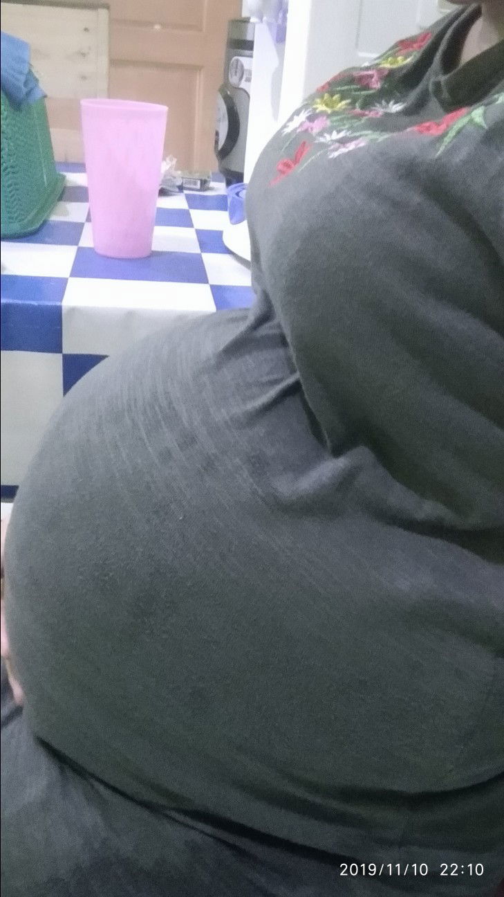 hpl 22 november 2019?