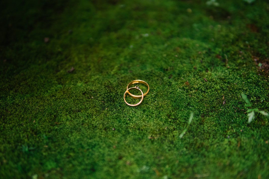 Sri Jayanti profile icon