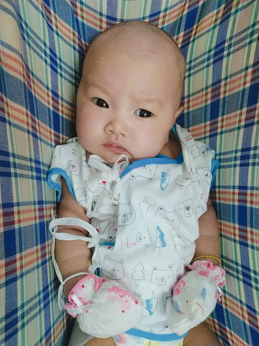 น้องอินดี้ หมูน้อย? 1 เดือนคะ