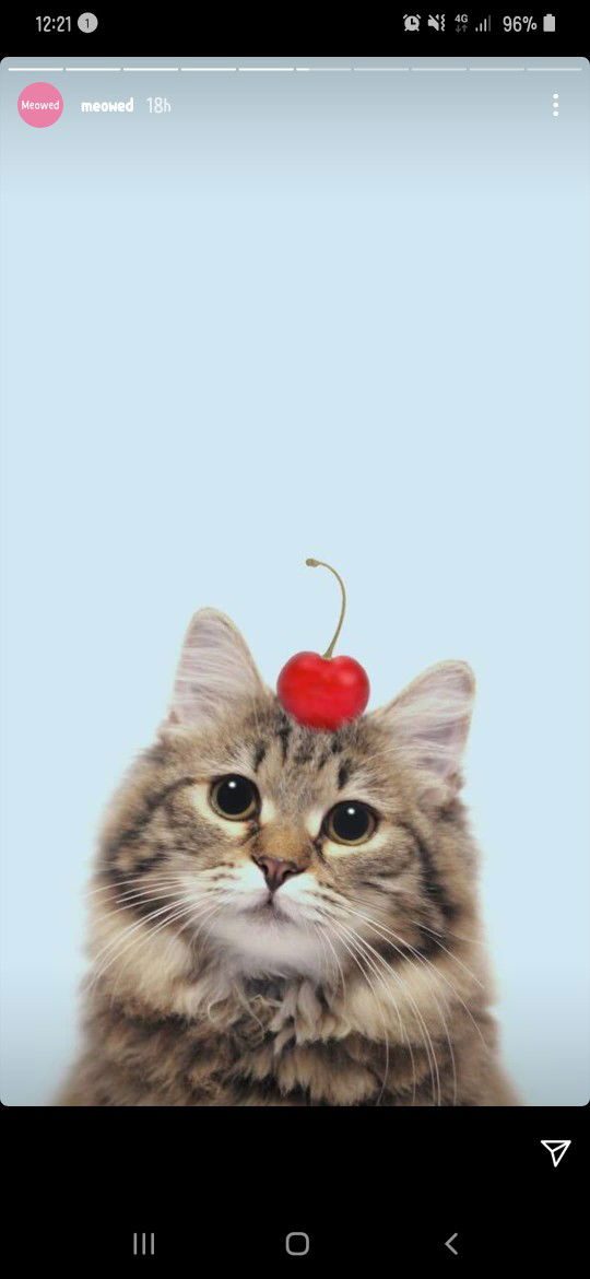 Prince Faithful profile icon