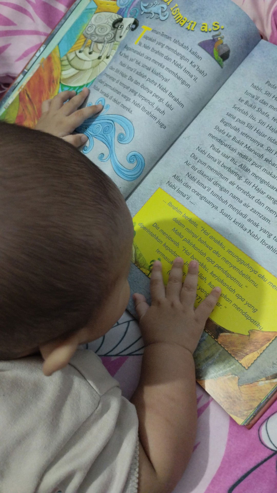 Funhippo profile icon