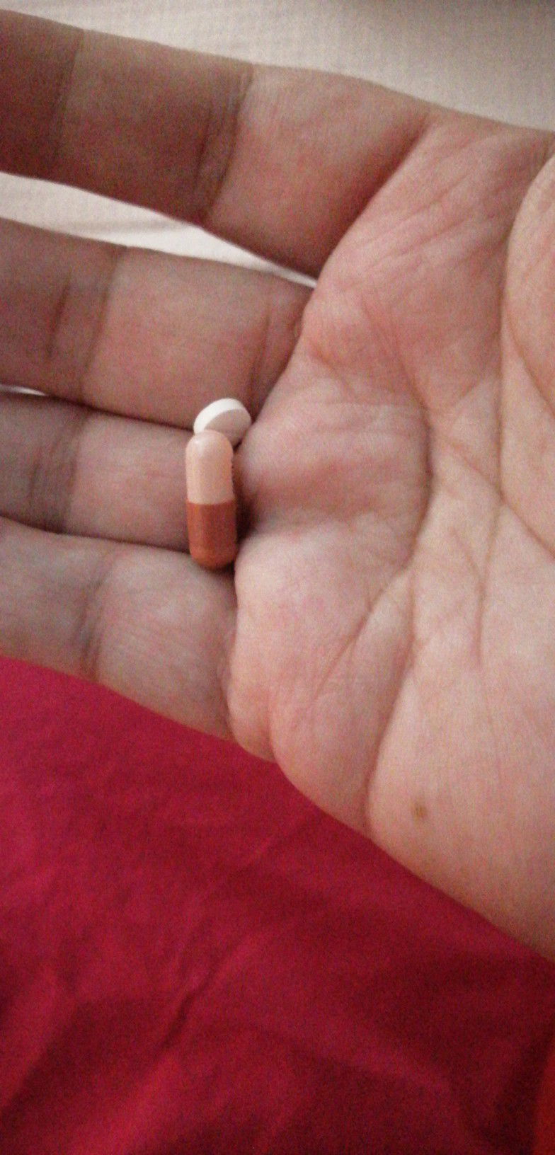 Makan Ubat Antibiotik Dan Ubat Muntah Sebelum Czer